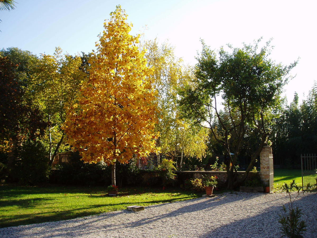 Bed and Breakfast Borgo Palazzo Steffaneo San Vito al Torre Camera foto